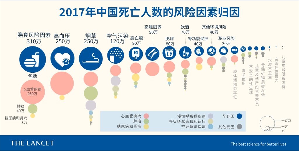 排行榜营养健身品牌_健身营养排行榜_排行榜营养健身操第一