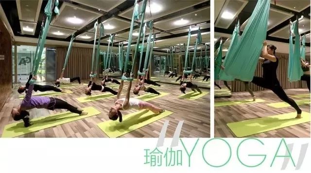 汕头道林健身_汕头道林健身房_汕头健身馆