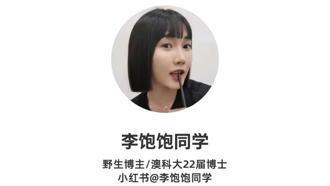 澳门茶餐厅菜单及价格图片_澳门百乐门茶餐厅怎么样_澳门茶餐厅哪家好吃