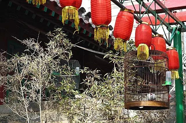 带鱼缸的餐桌_鱼缸可以放在餐厅西面吗_带鱼缸的西餐