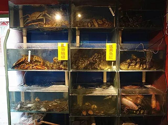 带鱼缸的餐桌_鱼缸可以放在餐厅西面吗_带鱼缸的西餐