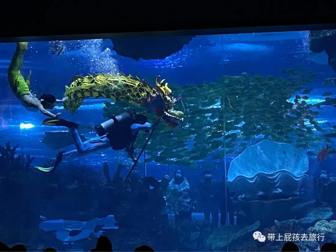 餐饮鱼缸_带鱼缸的西餐_鱼缸放在餐厅西墙边好吗