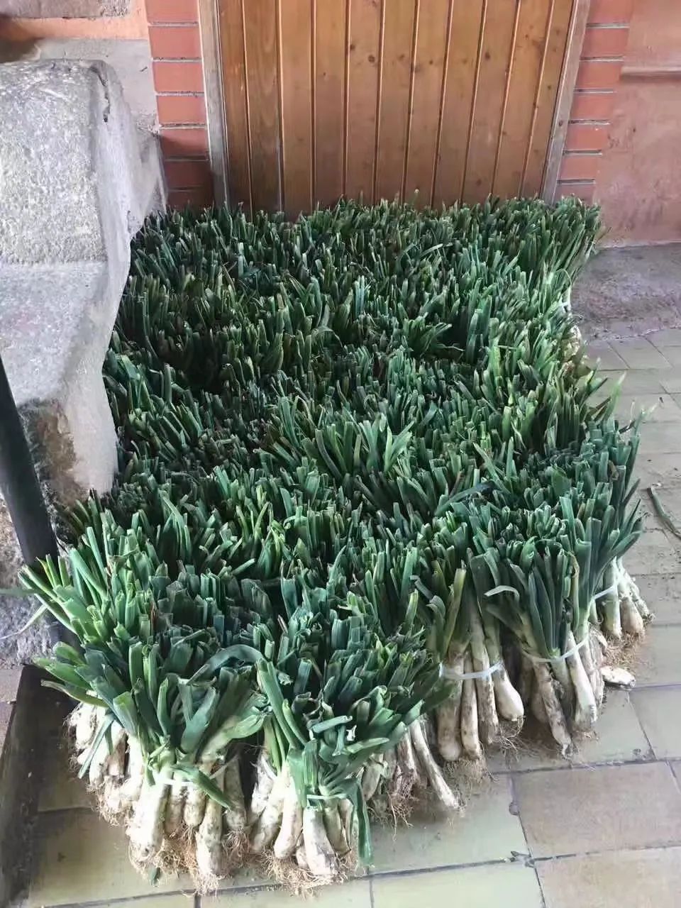 餐厅鱼缸_带鱼缸的西餐_餐饮鱼缸