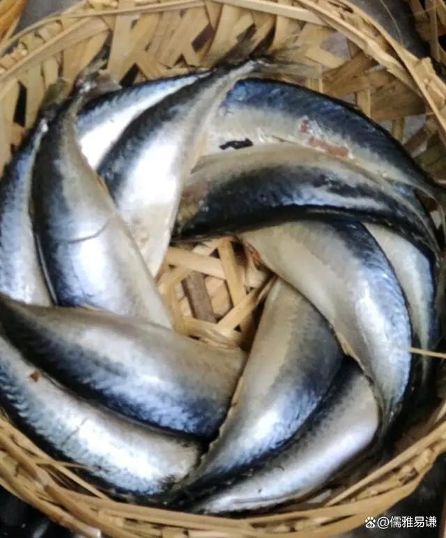 老记潮汕养生牛肉馆_老纪潮汕美食_老纪潮州菜馆