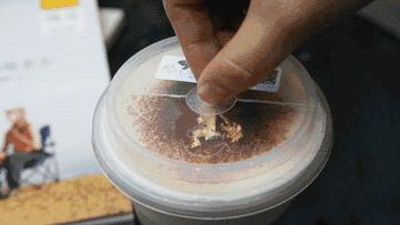 咖啡奶怎么做好吃_咖啡厅奶_咖啡奶的功效与作用