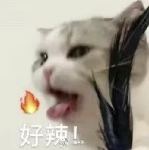 辣妹生活方式_辣妹风格到底是什么_辣妹的概念
