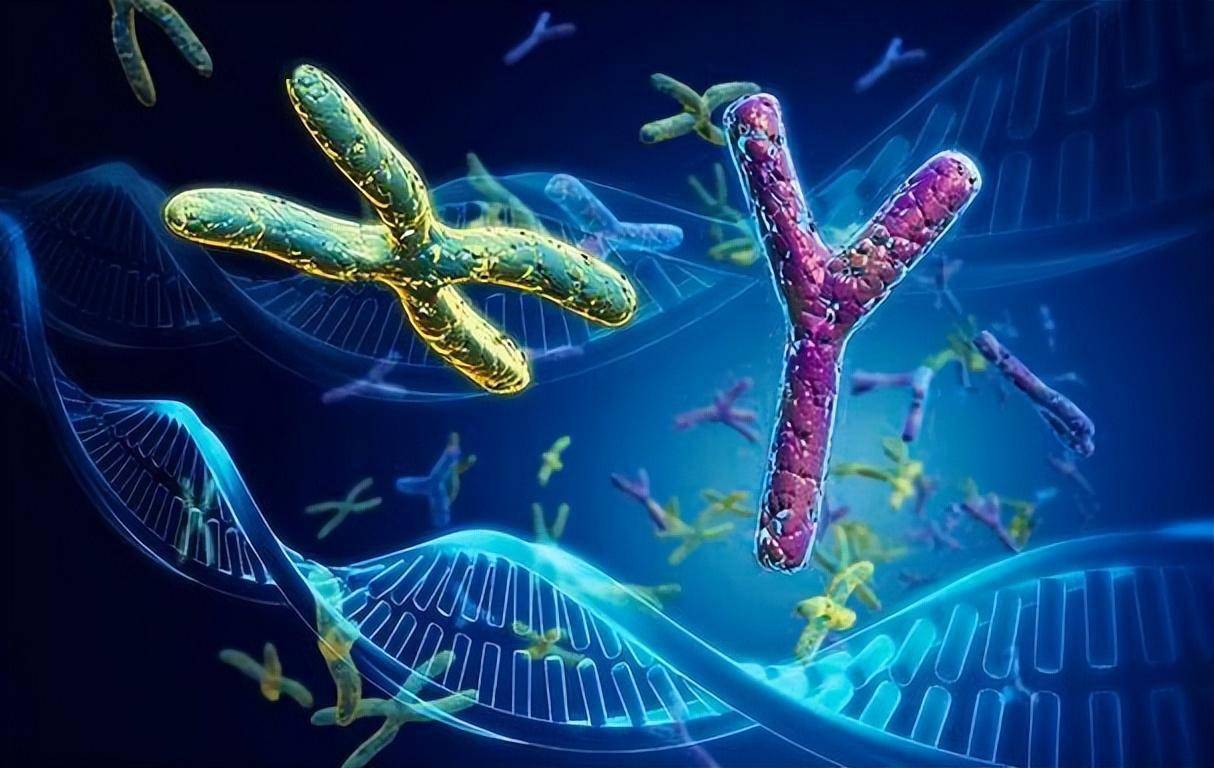 聪明宝宝怎么培养_聪明宝宝方式生活有什么特点_宝宝聪明的生活方式有哪些