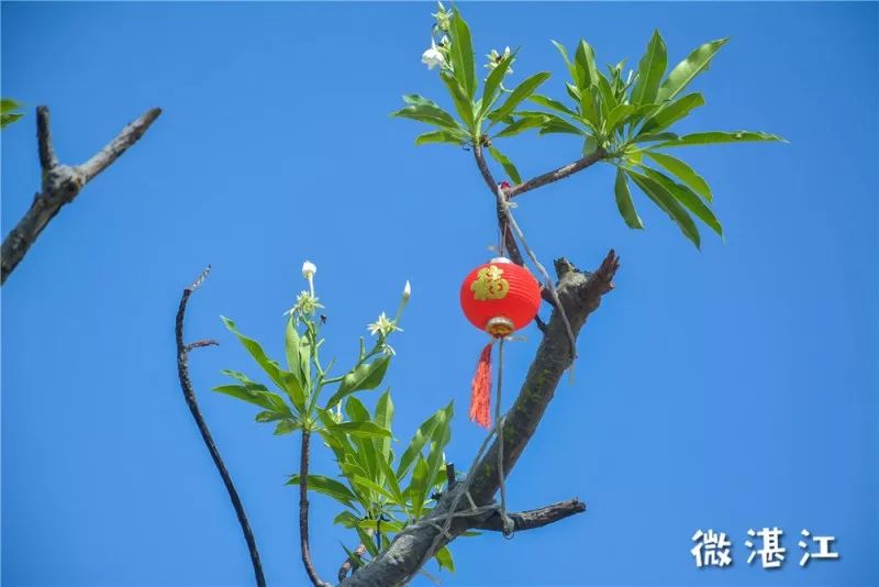 码头美食国际渔人馆地址_渔人码头国际美食_国外渔人码头