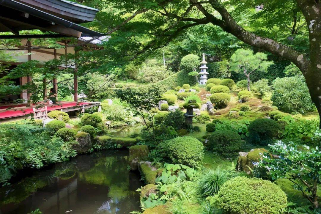 京都美食国际餐厅地址_京都国际美食_京都美食汇自助餐厅怎么样