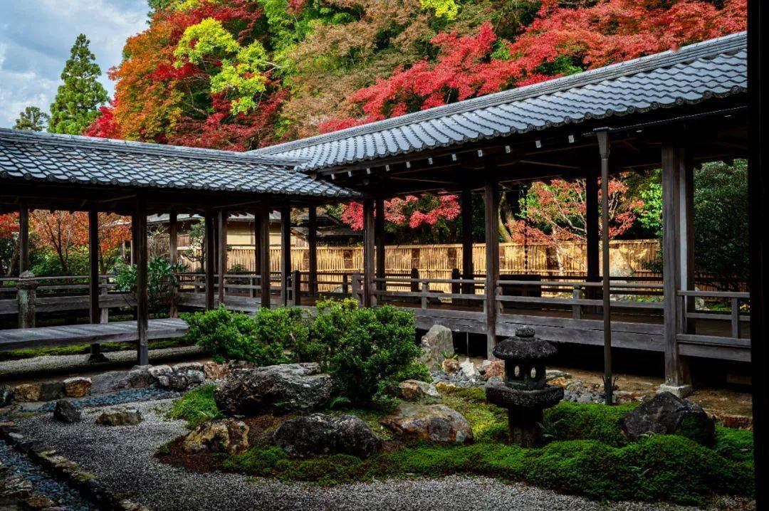 京都美食国际餐厅地址_京都美食汇自助餐厅怎么样_京都国际美食