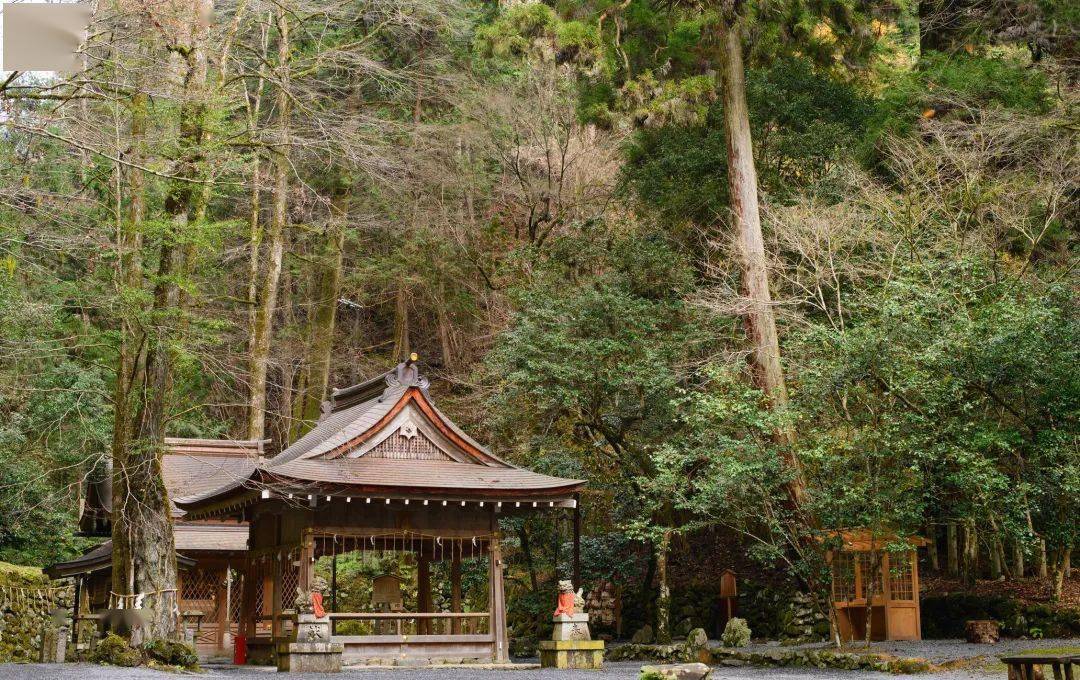 京都美食汇自助餐厅怎么样_京都国际美食_京都美食国际餐厅地址