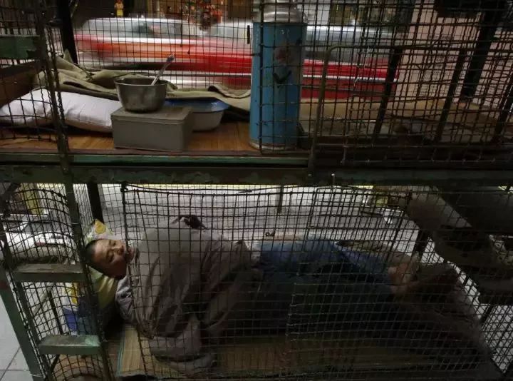 香港人生活实录_香港生活方式与大陆的区别_香港人的生活方式