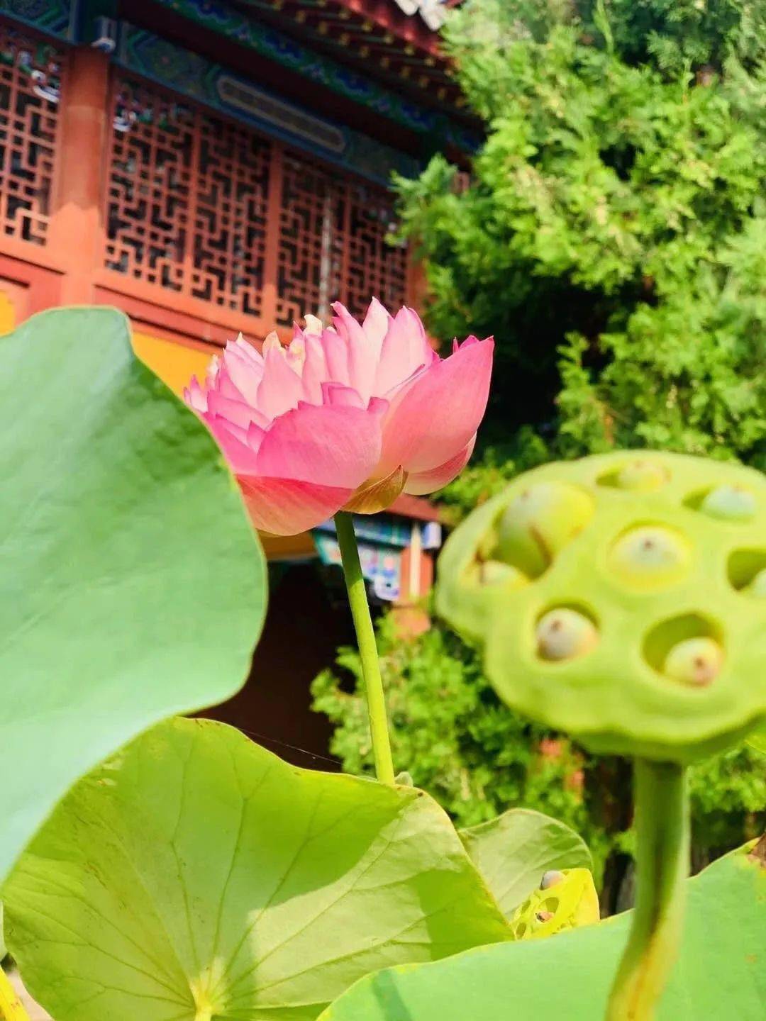 生活的一种方式_慢生活馆运营方式有哪些_方丈生活方式