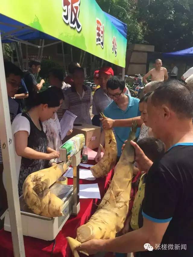 张槎美食城_张槎美食_美食张槎沙口笋有那几家店铺