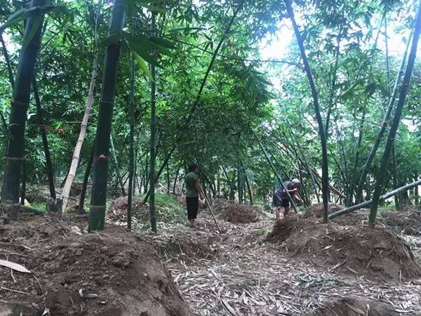 张槎美食城_美食张槎沙口笋有那几家店铺_张槎美食