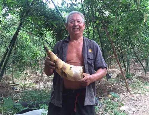 张槎美食城_美食张槎沙口笋有那几家店铺_张槎美食