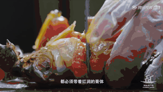 潮汕粽子甜咸_潮汕粽子的配料_潮汕美食咸粽子