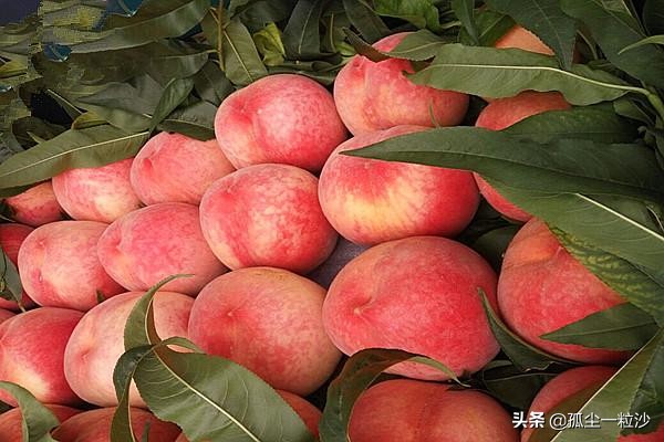 榆树市美食_吉林省榆树市美食排行榜_榆树市美食美客都有什么吃的