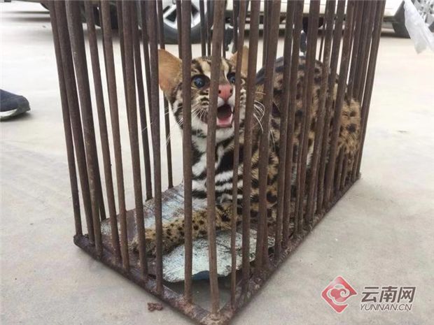 生活查询电话号码_生活百科查询电话_百科查询电话生活网
