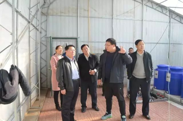 农业互联网创业故事题目_农业创业经历的真实故事_农业互联网创业项目
