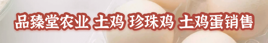 罗田电竞_电竞田野_电竞罗某人
