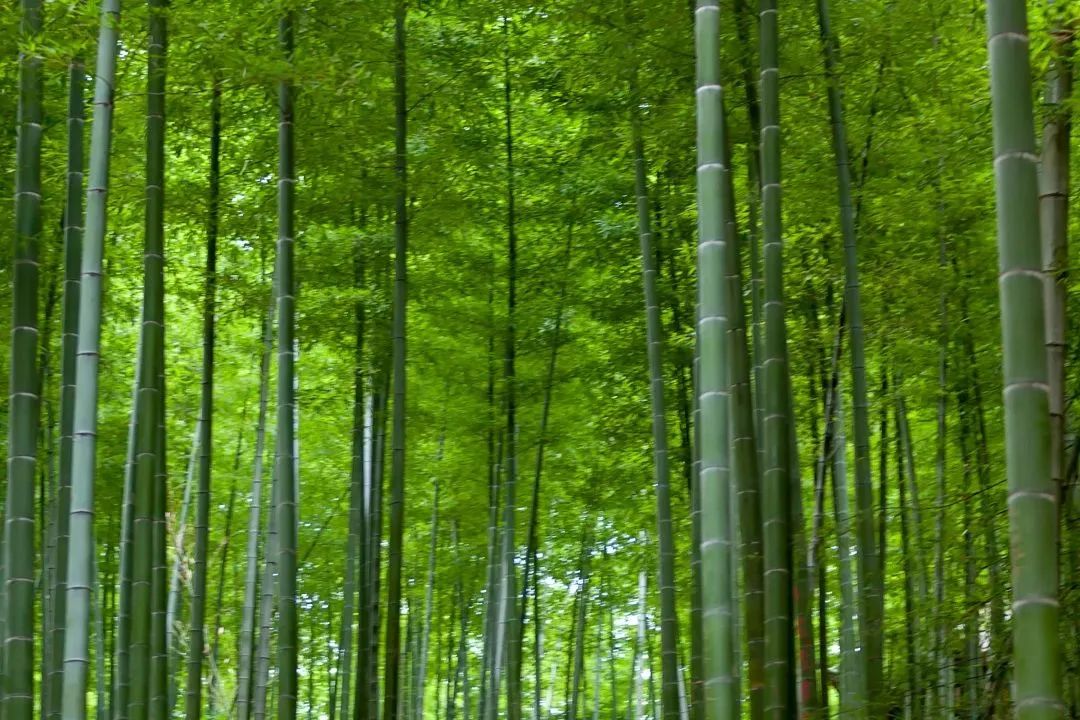 常州哪家西餐厅比较好_常州2人包厢西餐厅_常州西餐厅推荐