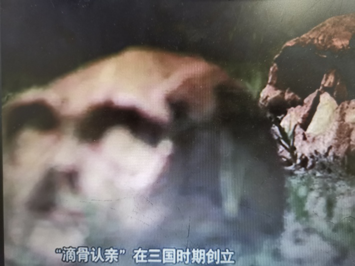 经典点心动画片_哪吒闹海动画片下载_经典英语动画片下载