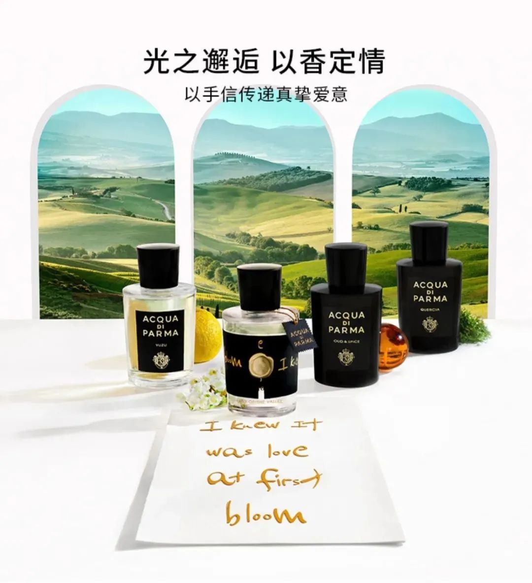 鲜艳电竞椅_鲜艳电竞椅_鲜艳电竞椅