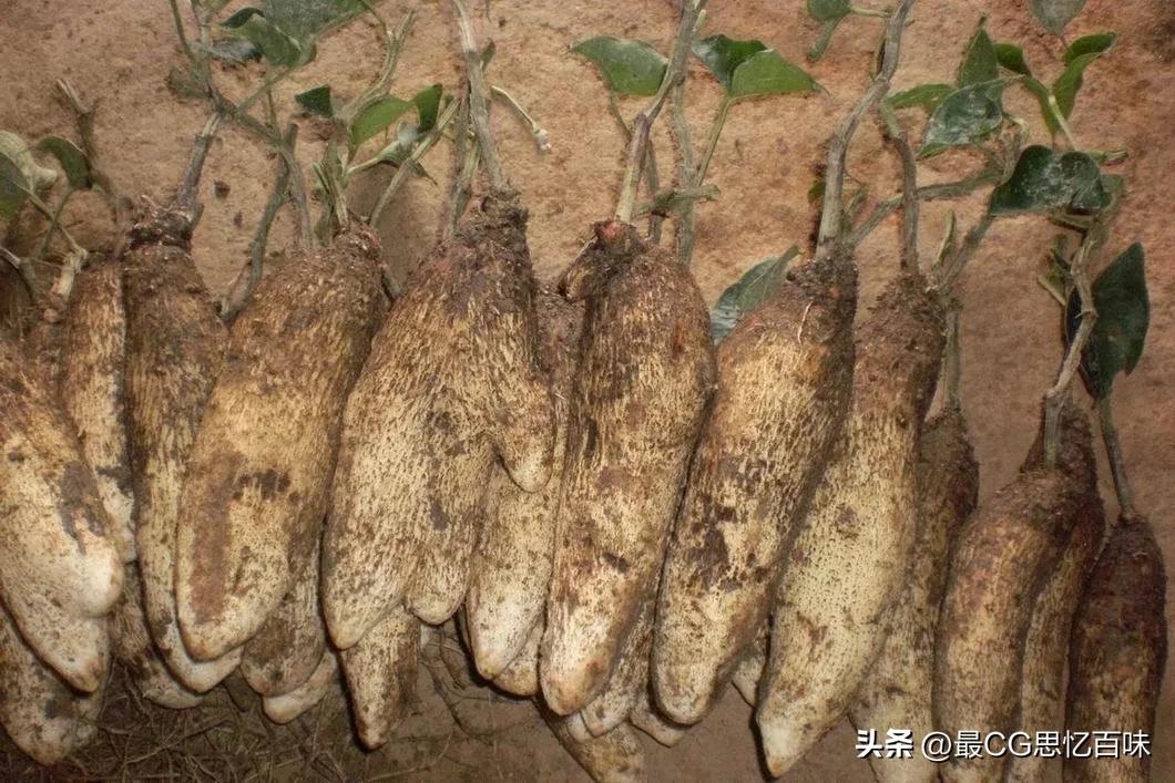 南岳衡山有什么特色菜_南岳衡山美食_南岳衡山的特色食物