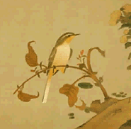 绝句和律诗的基本常识_绝句律诗的基本格式_律诗绝句写作基本常识