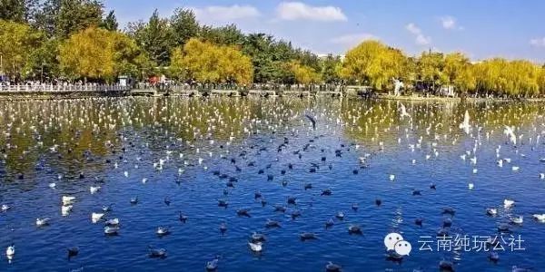 昆明翠湖西楼餐厅_昆明翠湖里西餐厅_昆明翠湖西路