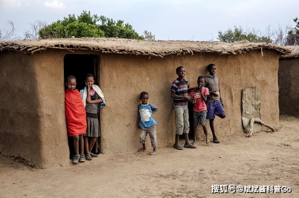 大象最喜欢的生活方式_大象喜欢什么样的生活环境_大象平时喜欢干什么
