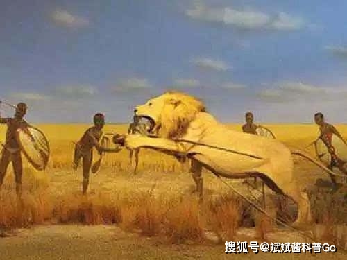 大象平时喜欢干什么_大象最喜欢的生活方式_大象喜欢什么样的生活环境