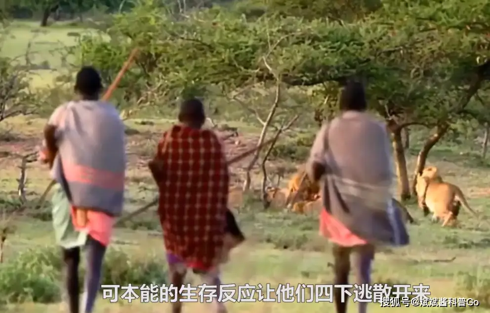大象平时喜欢干什么_大象最喜欢的生活方式_大象喜欢什么样的生活环境