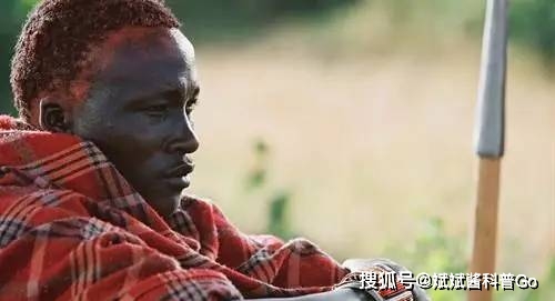 大象平时喜欢干什么_大象最喜欢的生活方式_大象喜欢什么样的生活环境