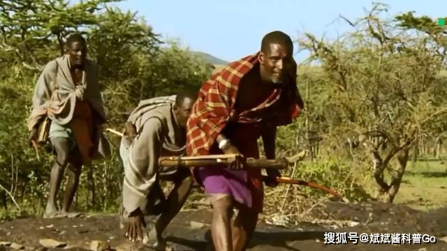 大象喜欢什么样的生活环境_大象平时喜欢干什么_大象最喜欢的生活方式