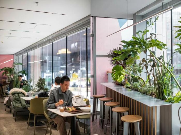茶餐厅的茶叶_茶餐厅里的饮品_茶餐厅里面的菜品