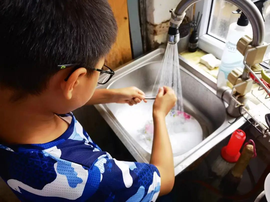 徐教院附小算菜小吗_菜生活_择菜算生活技能吗