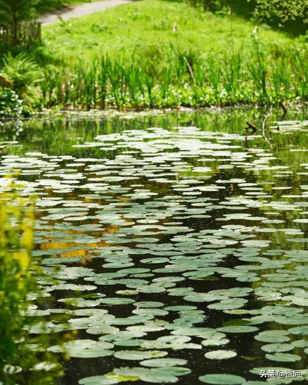咖啡馆背景墙效果图_咖啡馆背景墙图片_咖啡馆背景墙
