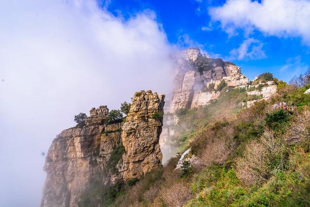 白石山咖啡_白石山咖啡馆_白石山咖啡厅