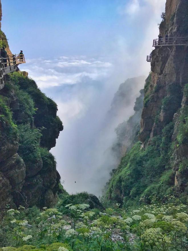 白石山咖啡自然之角_白石山咖啡馆_咖啡馆白石山店地址