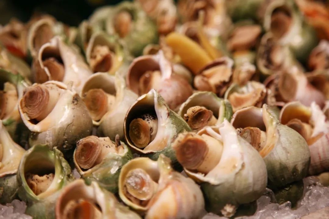 合肥粤式美食_合肥粤式点心自助餐厅_合肥粤菜环境好餐厅