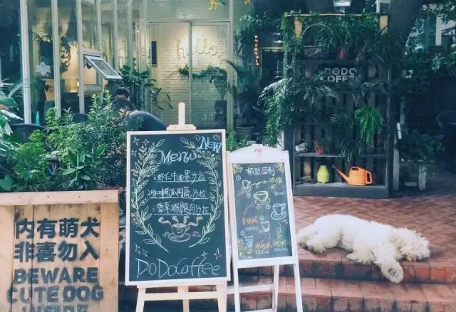 咖啡厅技术培训价格多少_咖啡店培训费多少钱_咖啡培训室