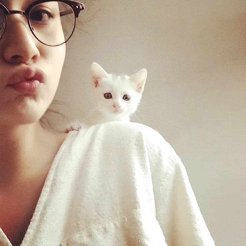 假装自己结婚的幽默搞笑句子_假装结婚何必这么卖力_生活小技巧假装结婚
