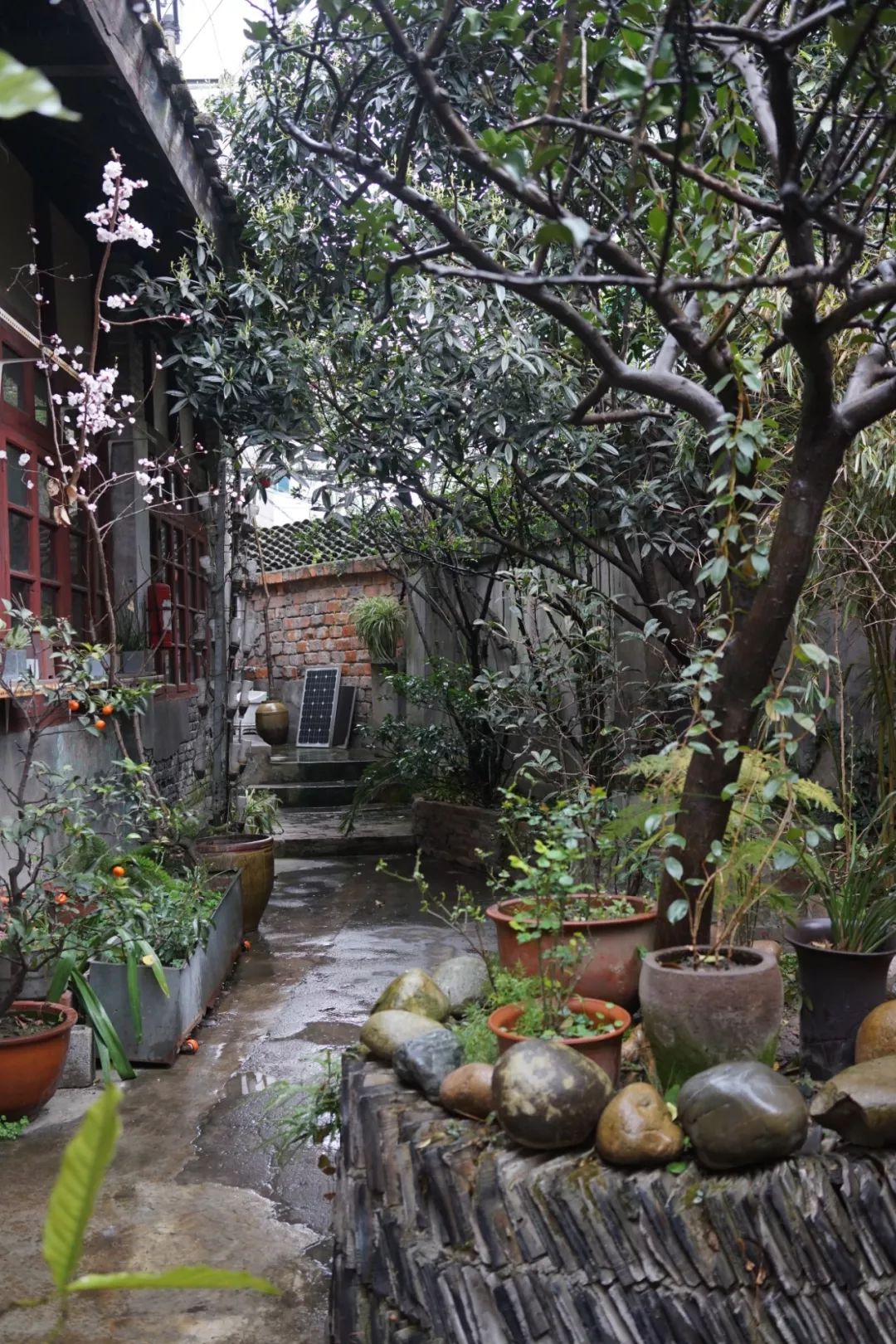 成都糕点批发配送_成都卖糕点的店_成都哪里卖糕点材料