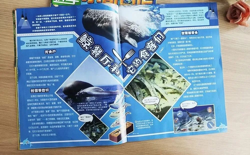 太空生活趣事多的简笔画_太空中的生活趣事画报_太空生活趣事小报