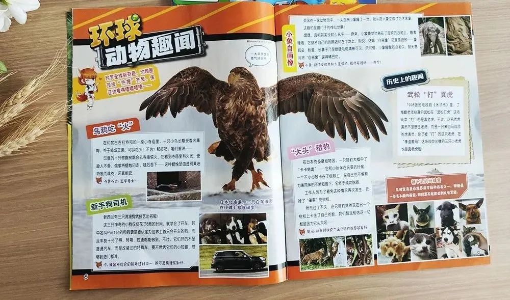 太空生活趣事小报_太空中的生活趣事画报_太空生活趣事多的简笔画