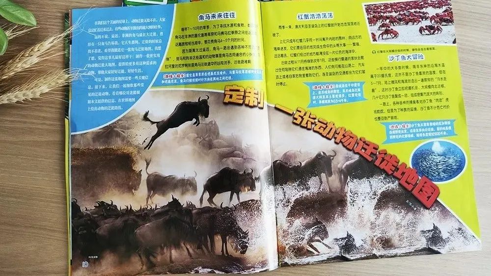 太空生活趣事小报_太空中的生活趣事画报_太空生活趣事多的简笔画