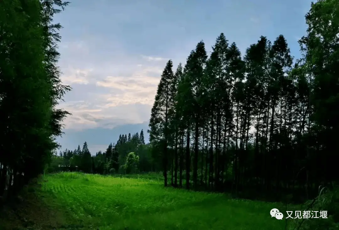 城堡农场生活技巧_农场城堡游戏_农民城堡
