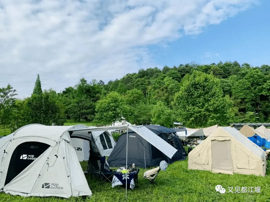 城堡农场生活技巧_农民城堡_农场城堡游戏